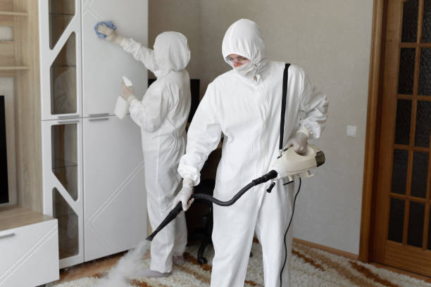 Professional Mold Removal in Mars Hill, NC